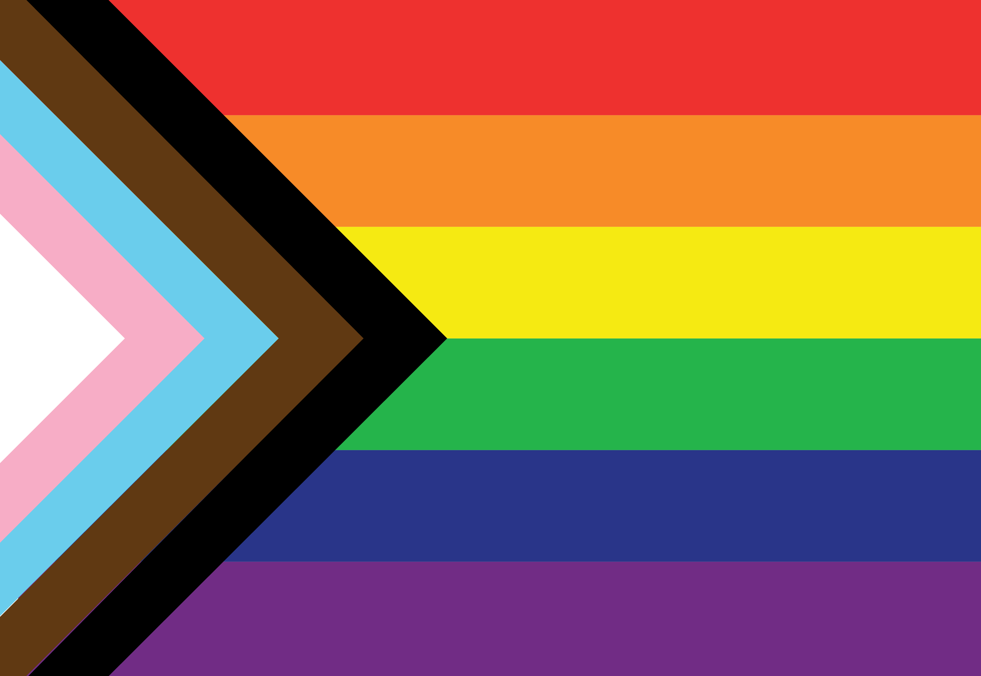 Photograph of Progressive Pride flag